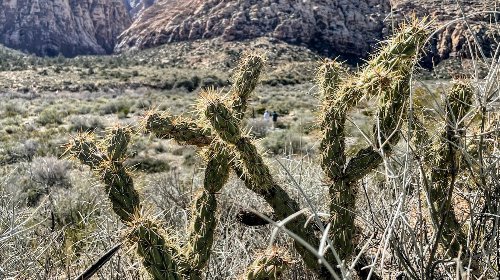 Not Arizona, Not Utah – This State Has The Driest Climate In The US

