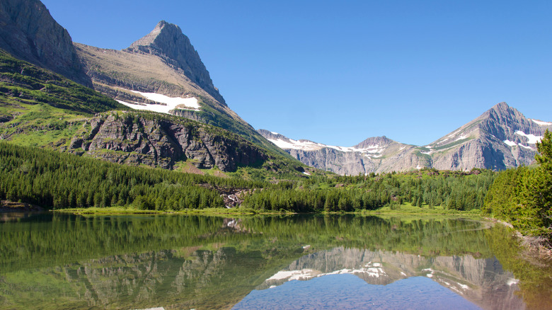Fishercap Lake in Glacier National Park reflecting the snowcapped mountains and forest
