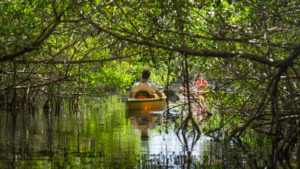 One Of The Best National Parks For Kayaking That Isn't Glacier Or The Grand Canyon

