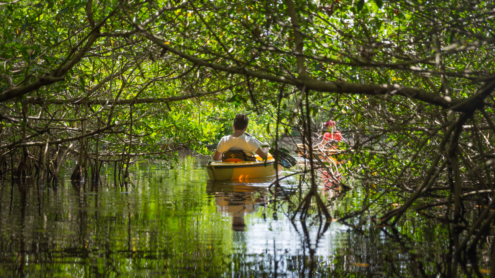 One Of The Best National Parks For Kayaking That Isn't Glacier Or The Grand Canyon

