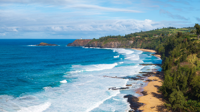 Aerial view of golden-sand beach backed by green trees and blue sea