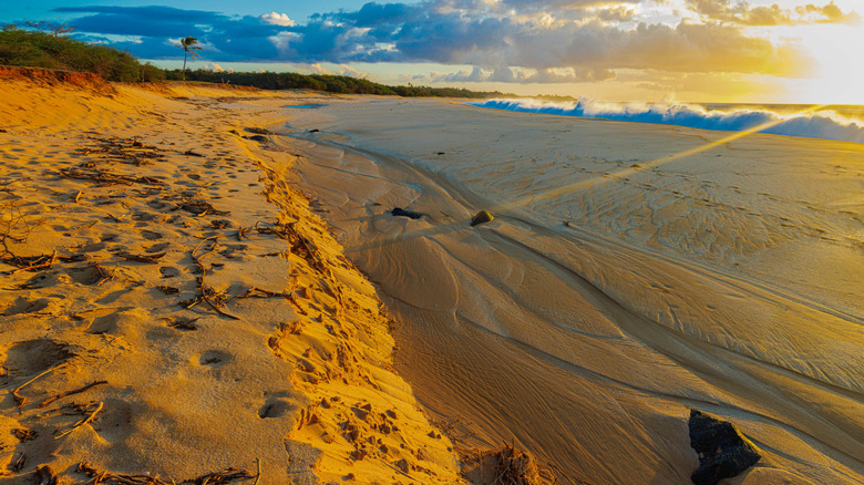 Afternoon sun rays on the sandy shoreline of Popahaku Beach