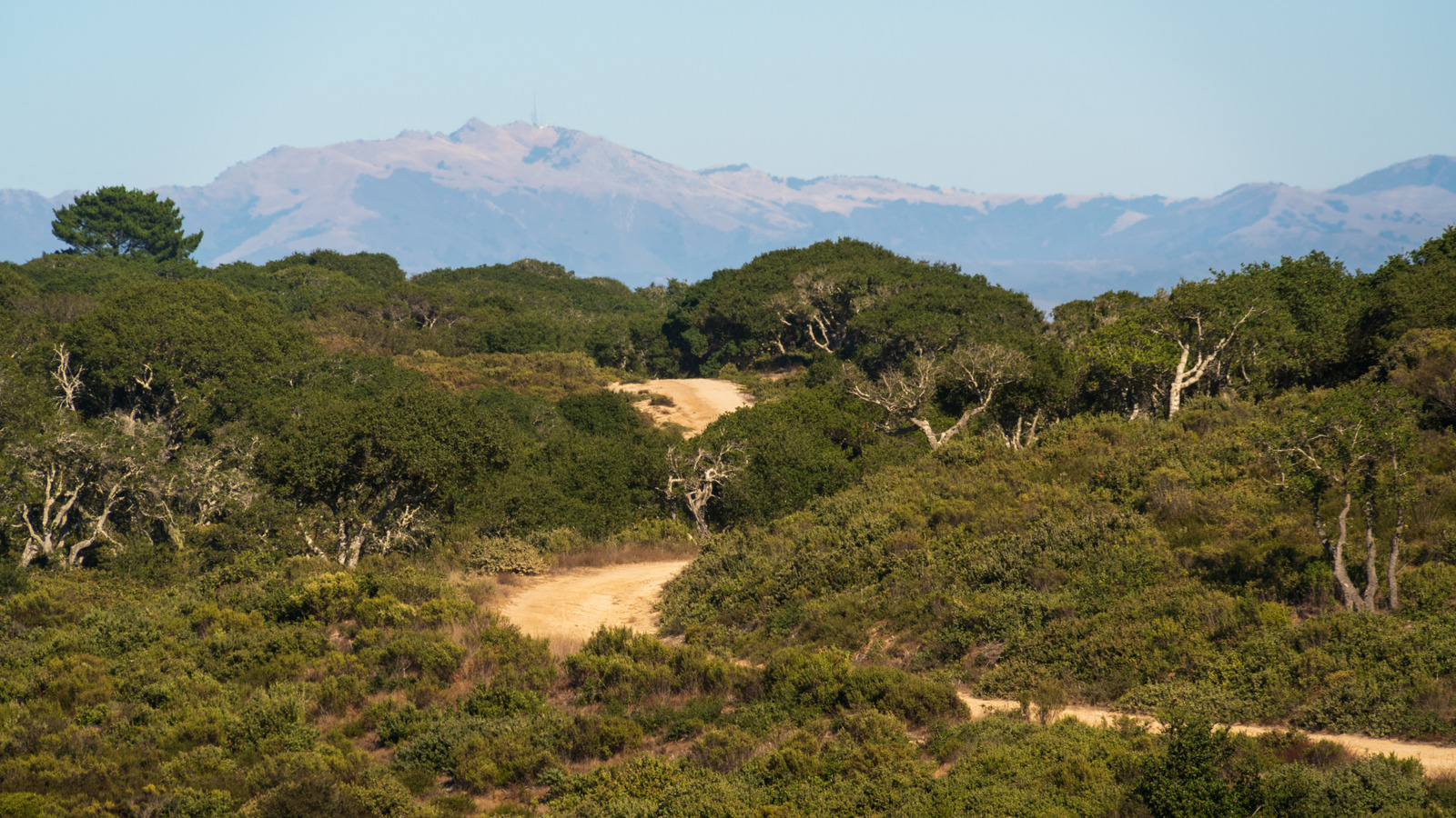 California's Former Army Base Is Now A Vast National Monument With 86 Miles Of Trails

