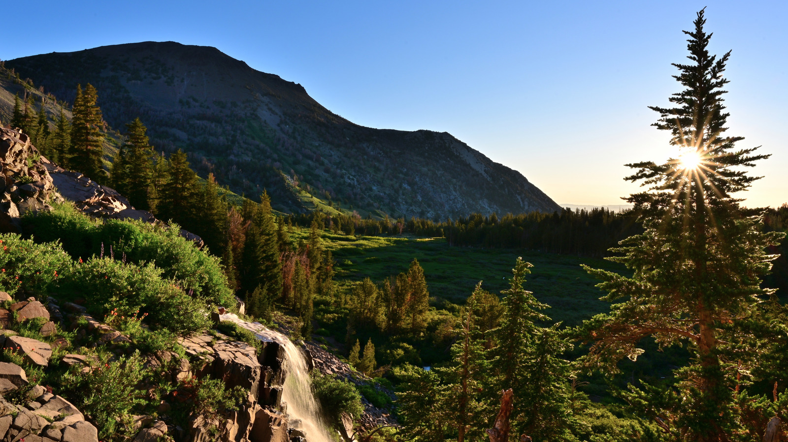 This Underrated National Forest Across California & Nevada Is An Outdoor Haven For Hiking

