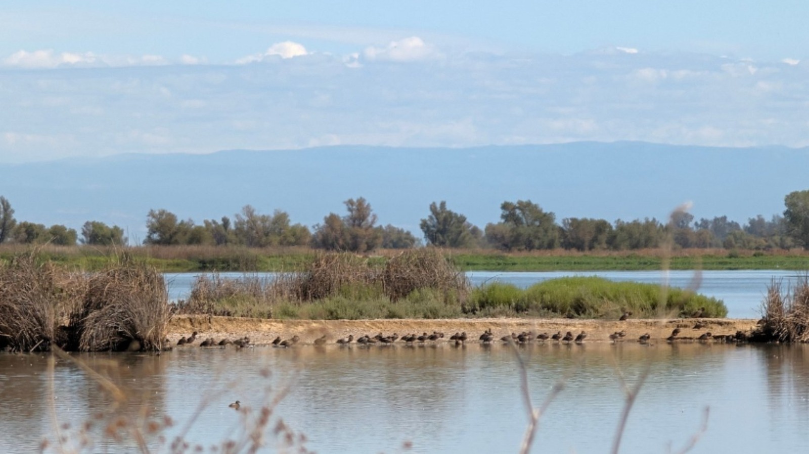 Between Sacramento & Mt. Shasta Is A California City With A Charming Downtown & Wildlife Refuge

