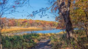 The Largest Public Park In New York City Offers Family-Friendly Fun And Scenic Fall Foliage

