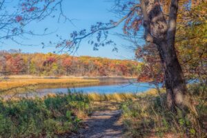 Der größte öffentliche Park in New York City bietet familienfreundliche Aktivitäten und eine malerische Herbstlandschaft.