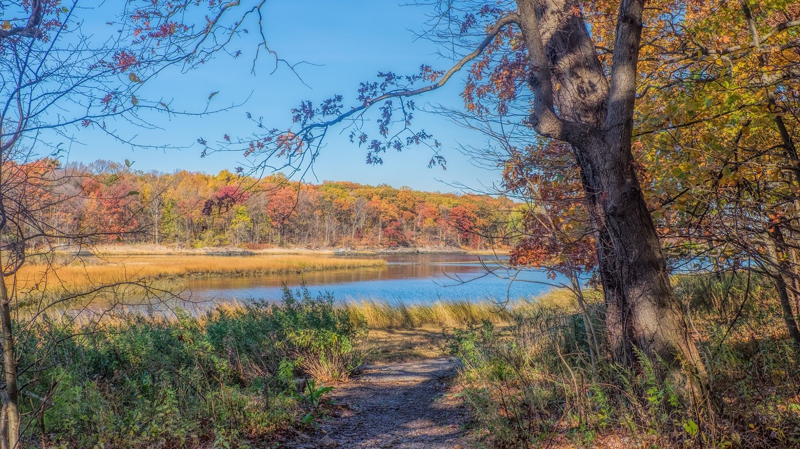 The Largest Public Park In New York City Offers Family-Friendly Fun And Scenic Fall Foliage


