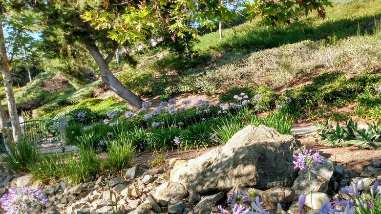 gardens in Florence Joyner Olympiad Park