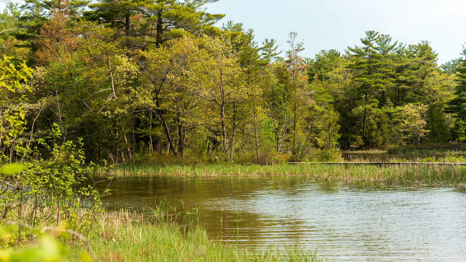 Michigan's Largest Artificial Lake Is An Outdoor Paradise For Swimming, Boating, & Fishing

