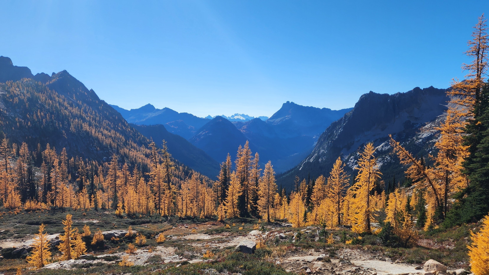 Washington's Gorgeous Fall Colors Decorate This Scenic Hike On The Pacific Crest Trail

