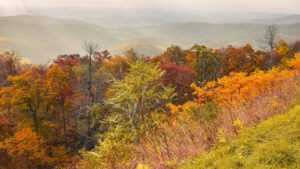 Not Glacier, Not Grand Teton: This Is One Of The Best National Parks For Colorful Fall Foliage

