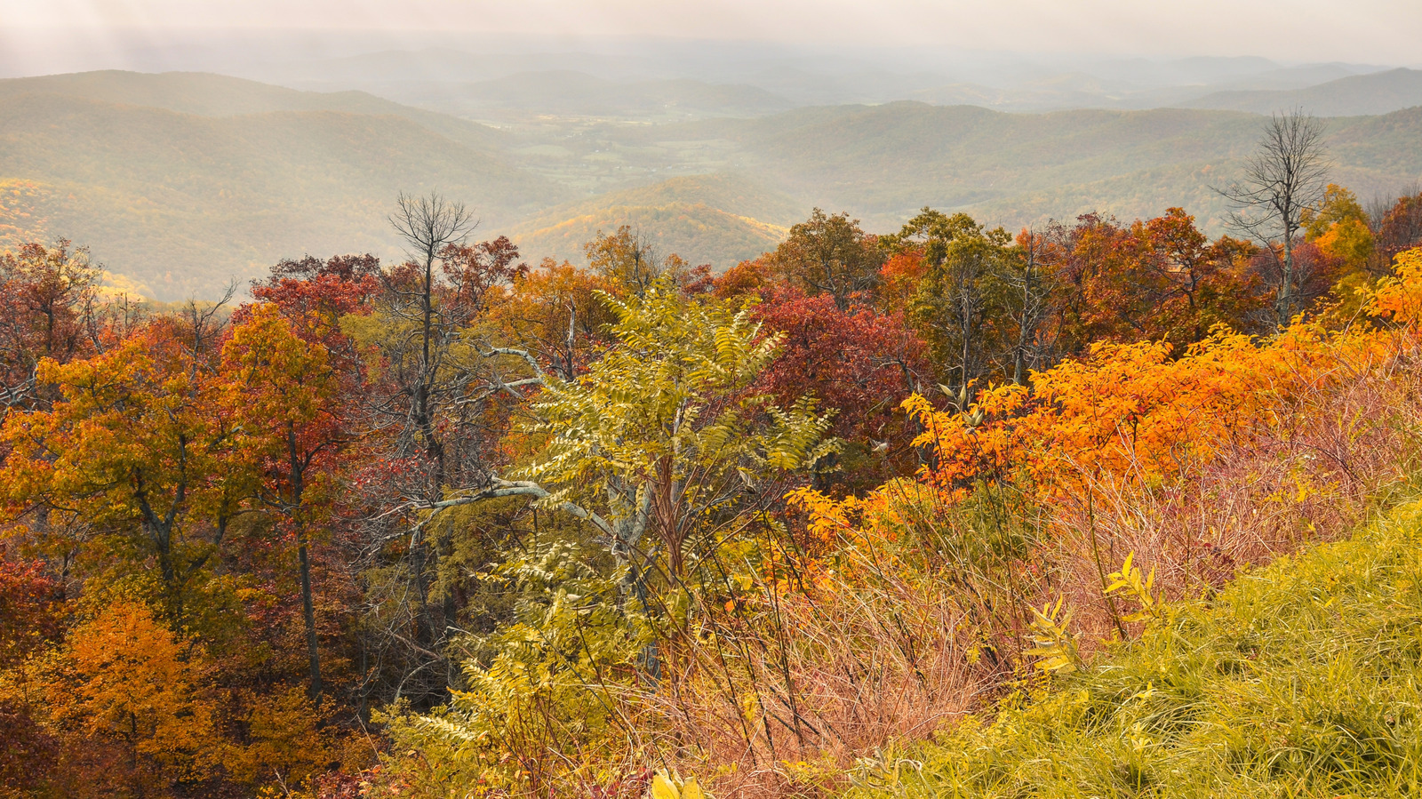 Not Glacier, Not Grand Teton: This Is One Of The Best National Parks For Colorful Fall Foliage

