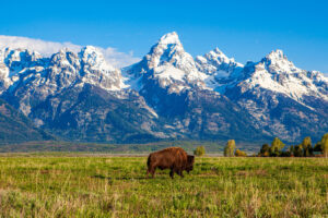 USA 2026: Der outdoorfreundlichste Staat für landschaftliche Freizeit – Kalifornien und Utah ausgeschlossen
