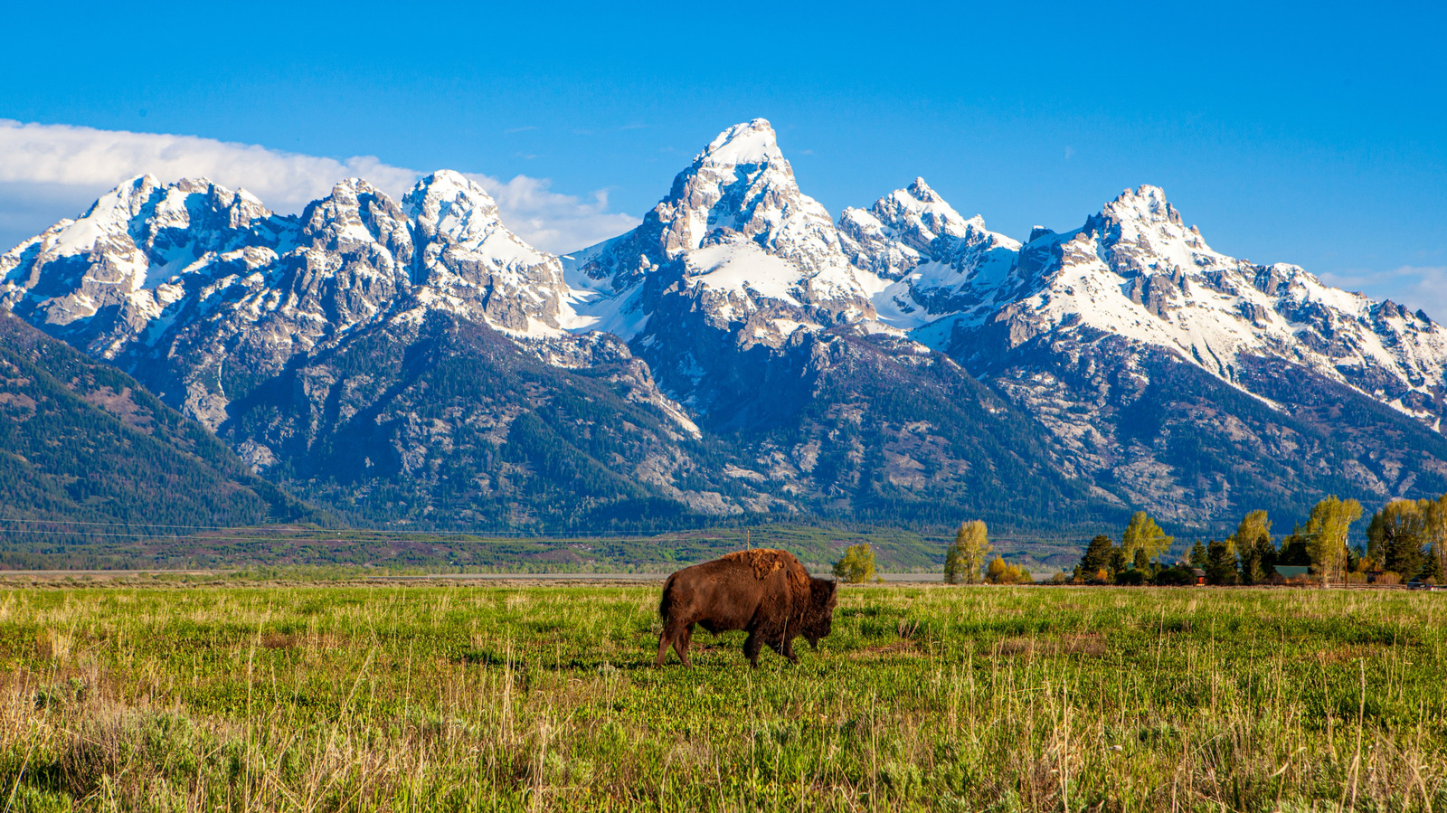 America's Most Outdoorsy State Of 2026 For Scenic Recreation Isn't California Or Utah

