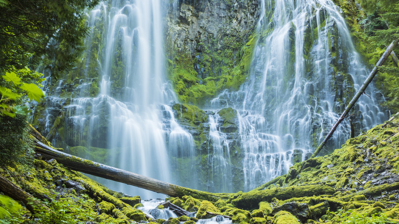 Twin cascades of Proxy Falls surrounded by granite cliffs covered in moss in Williamette Forest
