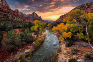 Der Herbst verwandelt den Zion-Nationalpark in Utah in einen Canyon aus goldenen Blättern