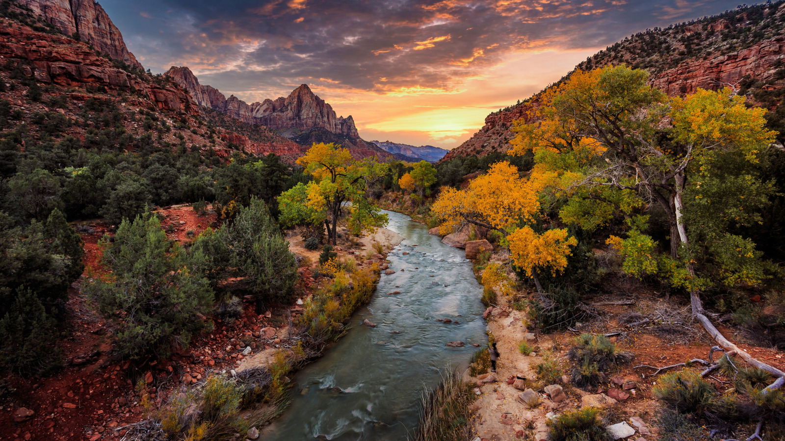 Fall Transforms Utah's First National Park Into A Canyon Of Golden Leaves

