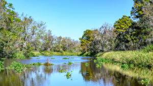 South Carolina's New State Park Between Charleston & Myrtle Beach Is A Riverside Nature Escape

