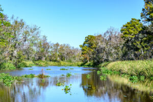 Südkarolinas neuer Staatspark zwischen Charleston und Myrtle Beach – Naturparadies am Flussufer