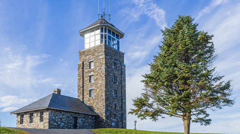 Stone observation tower with a pine tree
