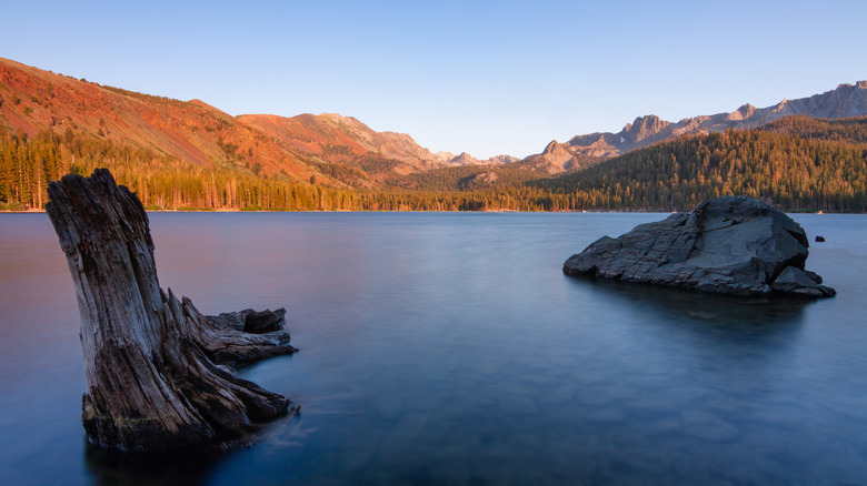 Golden sunset on mountains and trees, with a lake below with a tree trunk and rock jutting out