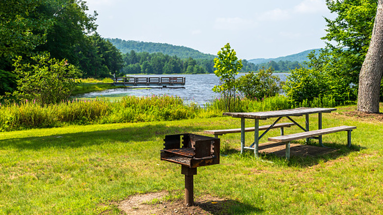 picnic table and grill in a campsite in Chapman State Park