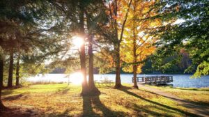 Pennsylvania's Hidden Gem State Park Boasts A Scenic Lake With Camping And Trails

