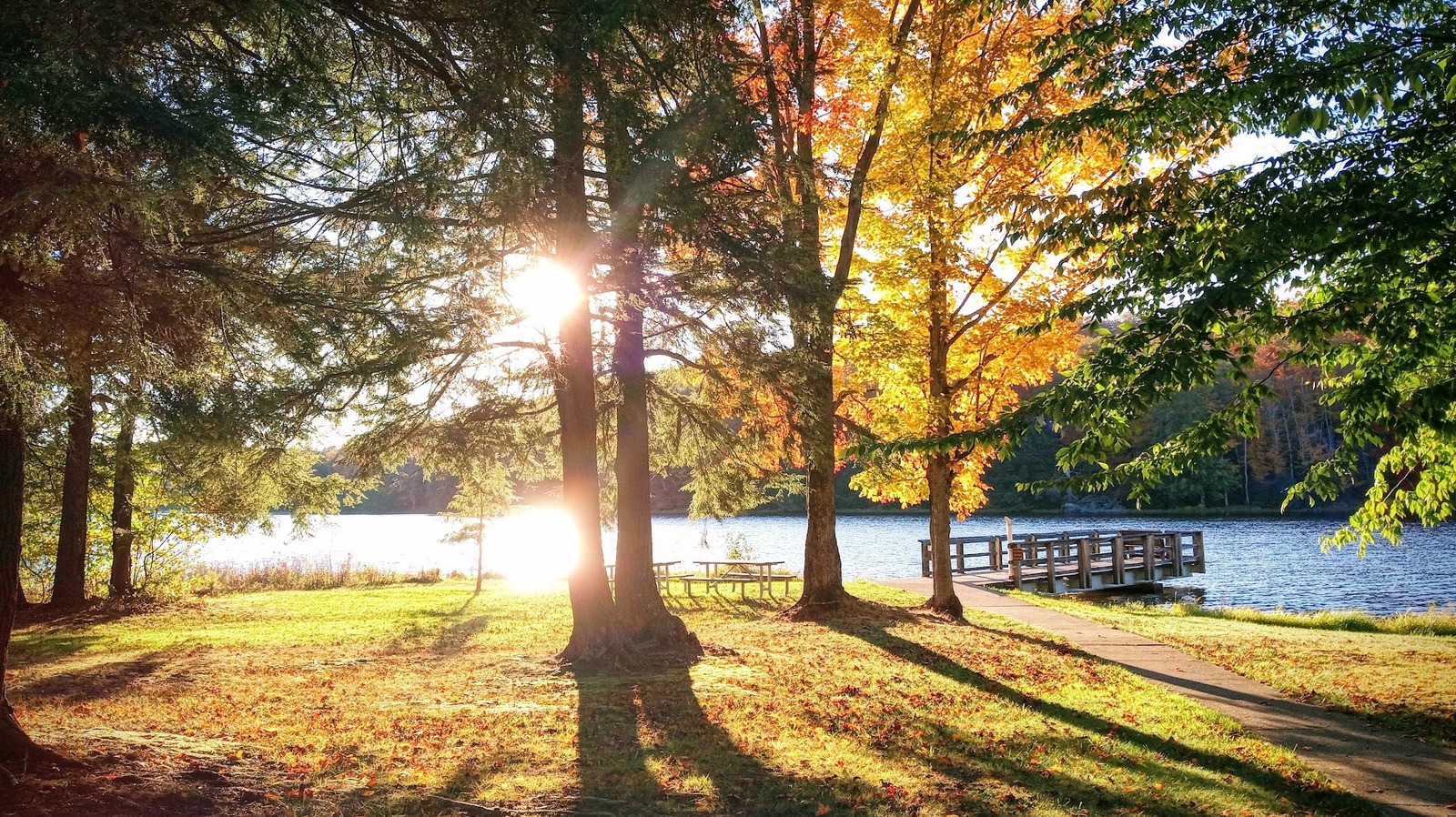Pennsylvania's Hidden Gem State Park Boasts A Scenic Lake With Camping And Trails

