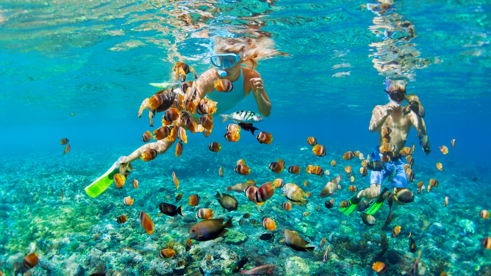 These Pristine Caribbean Beaches Offer Spectacular Reef Snorkeling Without A Boat

