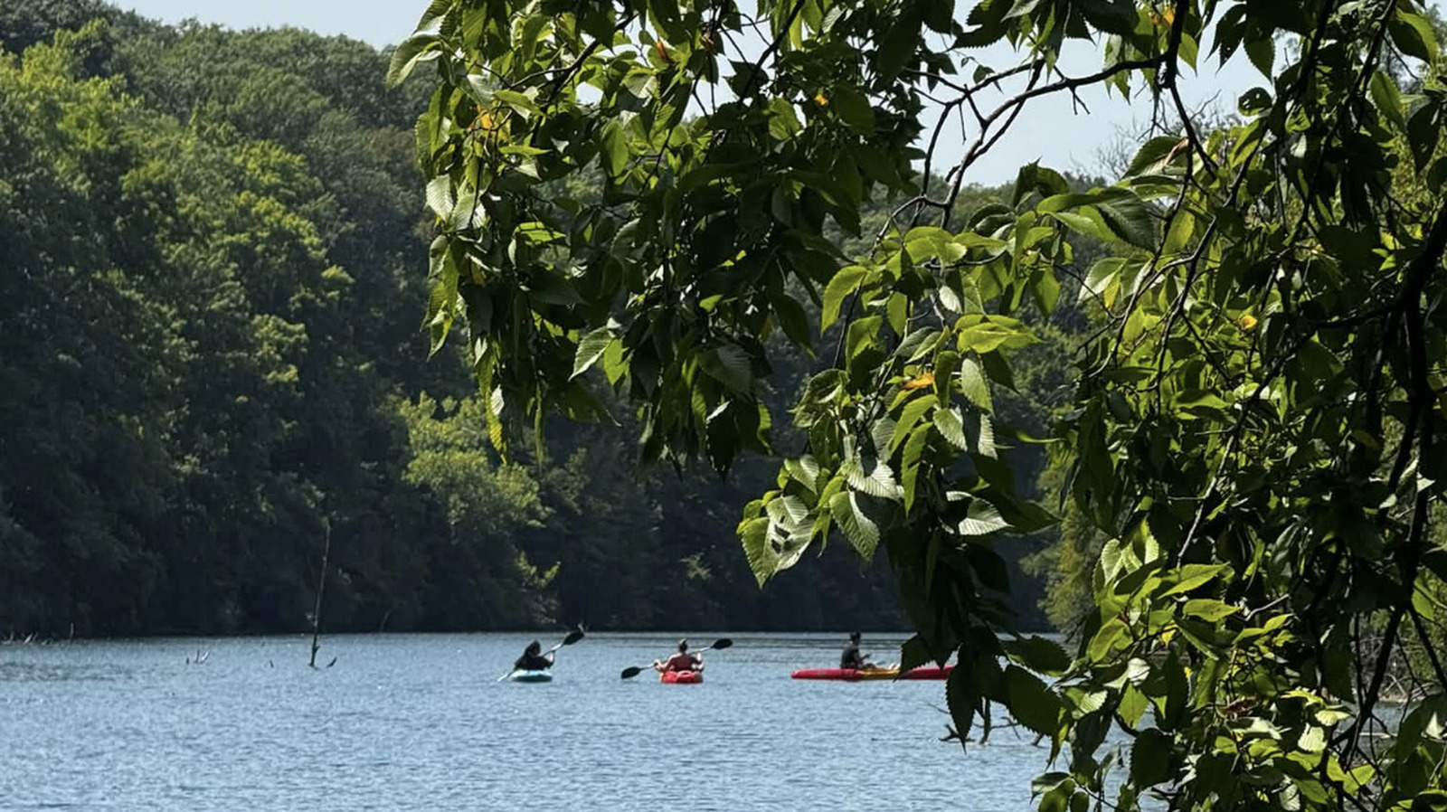Illinois' Former Surface Mine Is Now A Park With 22 Crystal-Clear Ponds And Scuba Diving


