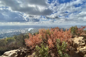Kaliforniens ehemalige Marinebasis: Größter Stadtpark des Bundesstaates mit 65 Meilen Wanderwegen